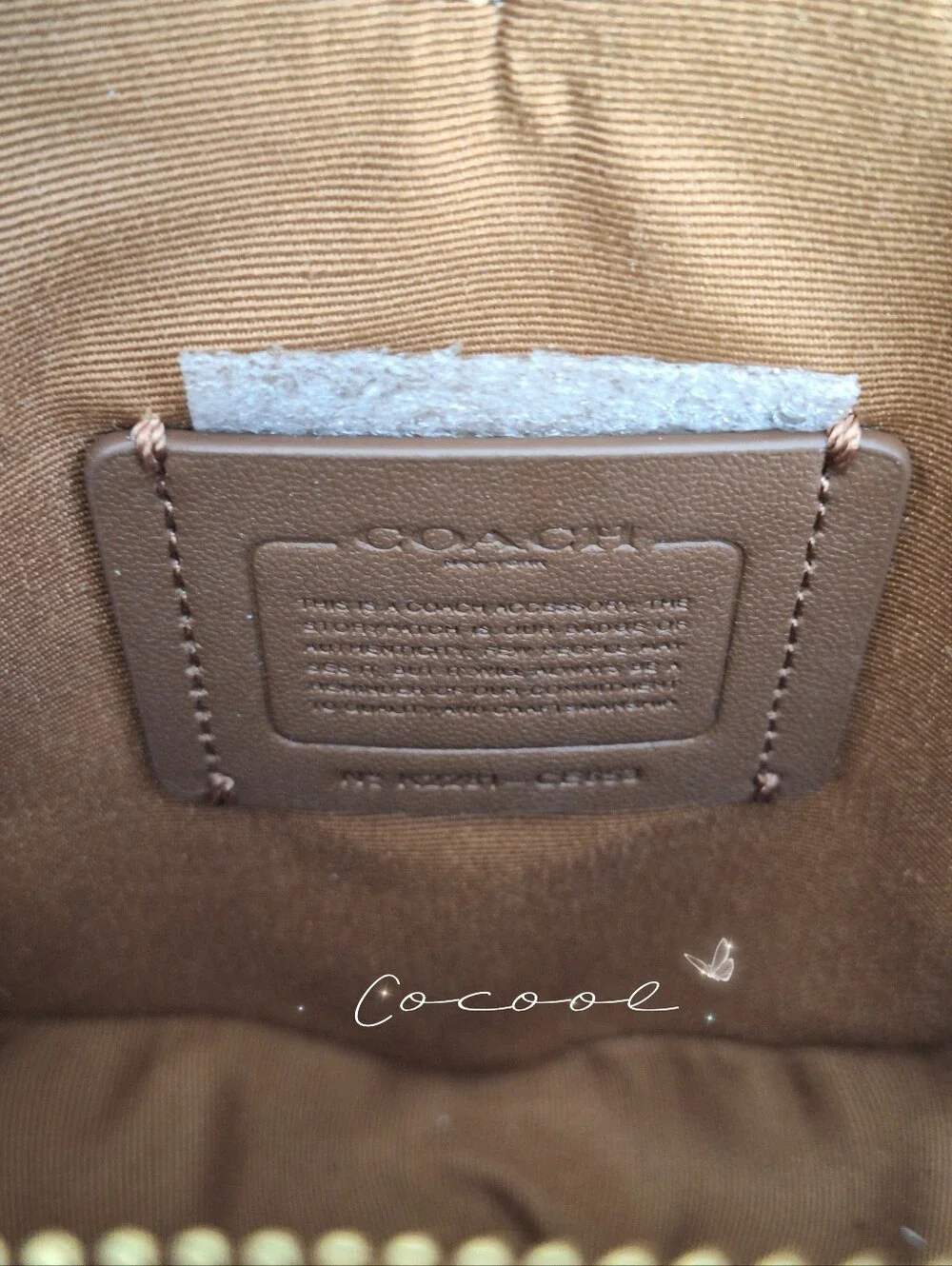 NEW COACH Heart Crossbody In Signature Canvas With Heart Cherry Print CE653